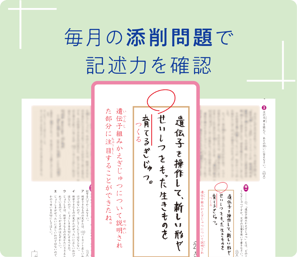 Z会の通信教育小学生コース（3-6年生向け）