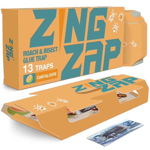 Roach Glue Traps Cantaloupe Scented 13-Pk – Infused with Fruity