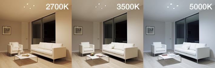 よくばりシリーズ | 製品情報 | LED・製品情報 | 大光電機株式会社