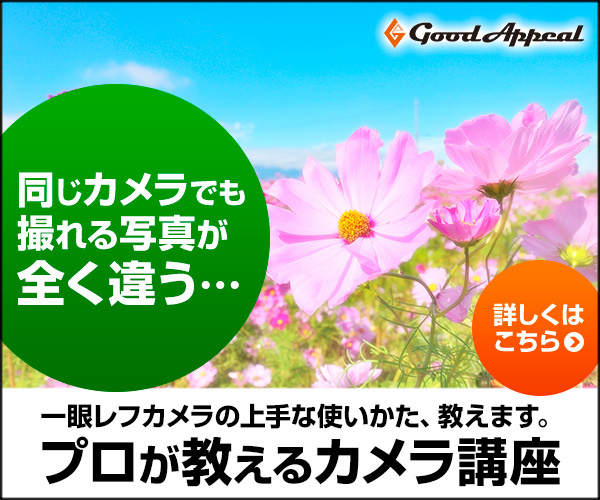 一眼レフカメラ上達講座3弾セットの値段は？初心者でも大丈夫？ - 春花