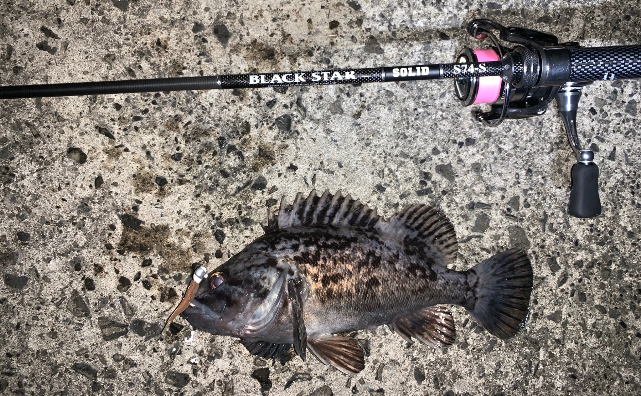 BLACK STAR SOLID 2nd GENERATION - XESTAゼスタ公式ウェブサイト