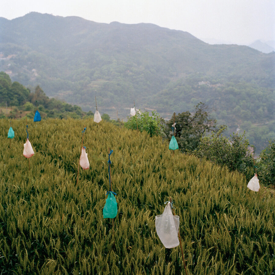 xiaoxiao xu - The way to the golden mountain
