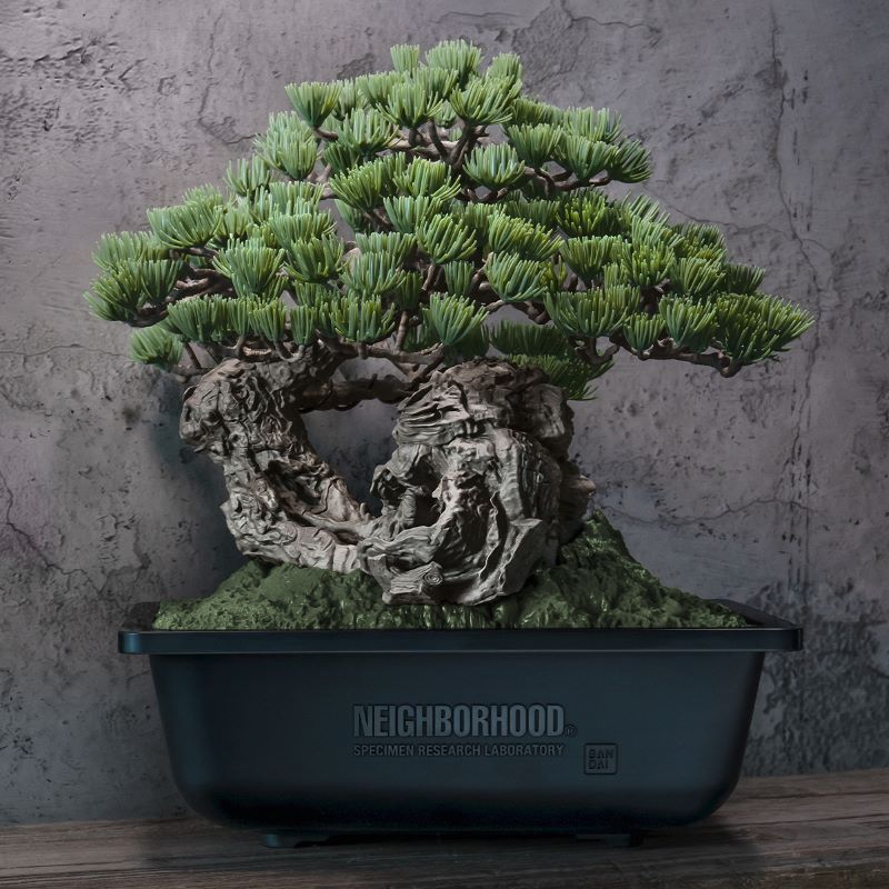 Acquire | Neighborhood's SRL line launches a Bonsai model kit with