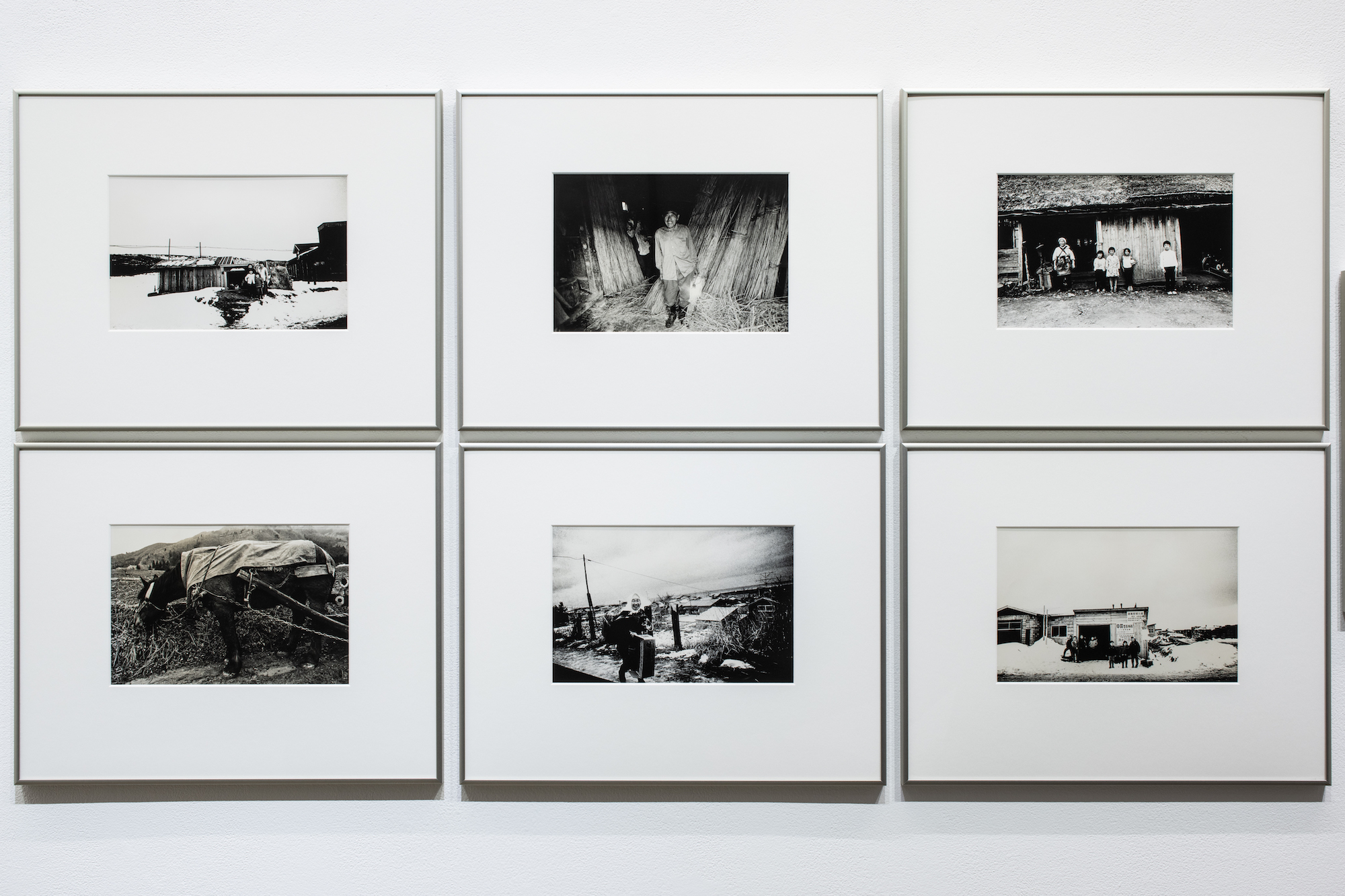 Yumiko Chiba Associates