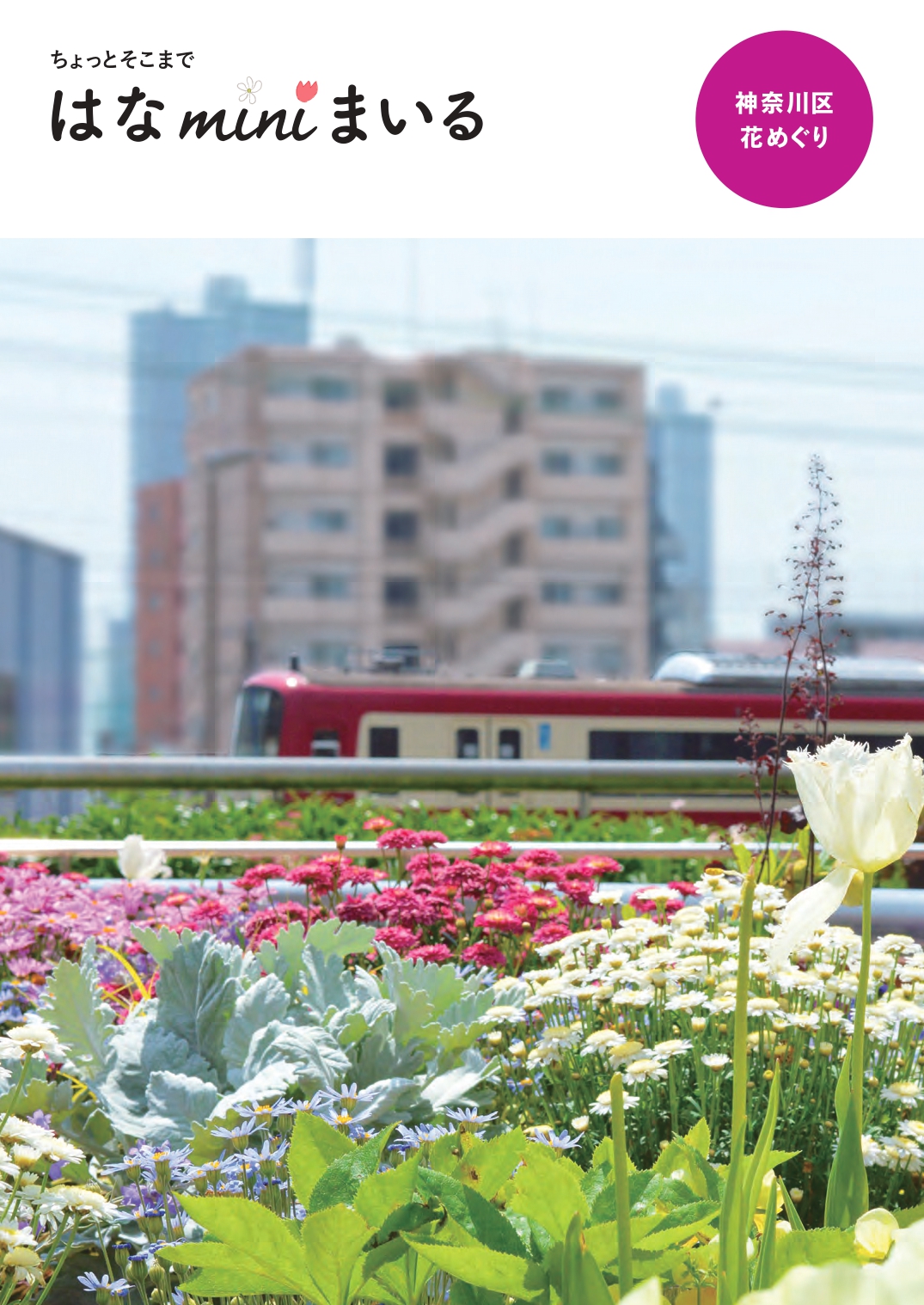 神奈川区内にある素敵な花と緑のスポットを紹介「ちょっとそこまで は