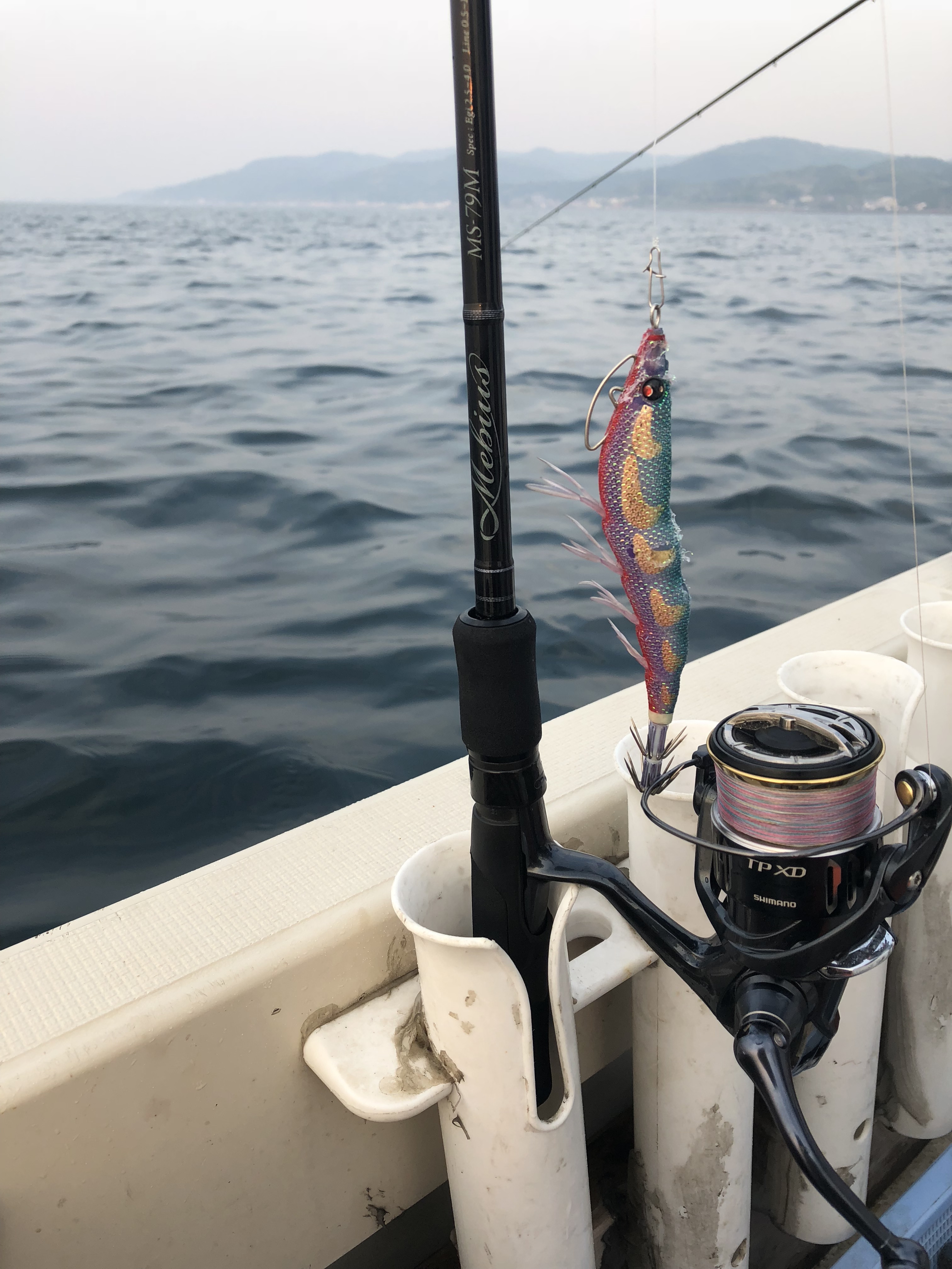 Mebius79Mを使用した、春の藻場ボートエギング | YAMAGA BlanksYAMAGA