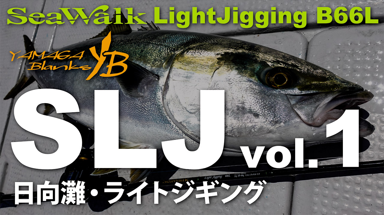 SeaWalk Light Jigging 66L Bait | YAMAGA BlanksYAMAGA Blanks