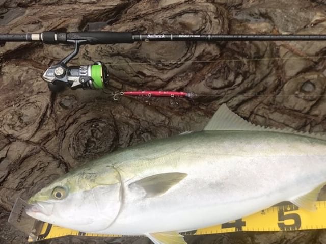 熊本県 ショア青物 Ballistick 102MH TZ/NANO | YAMAGA BlanksYAMAGA