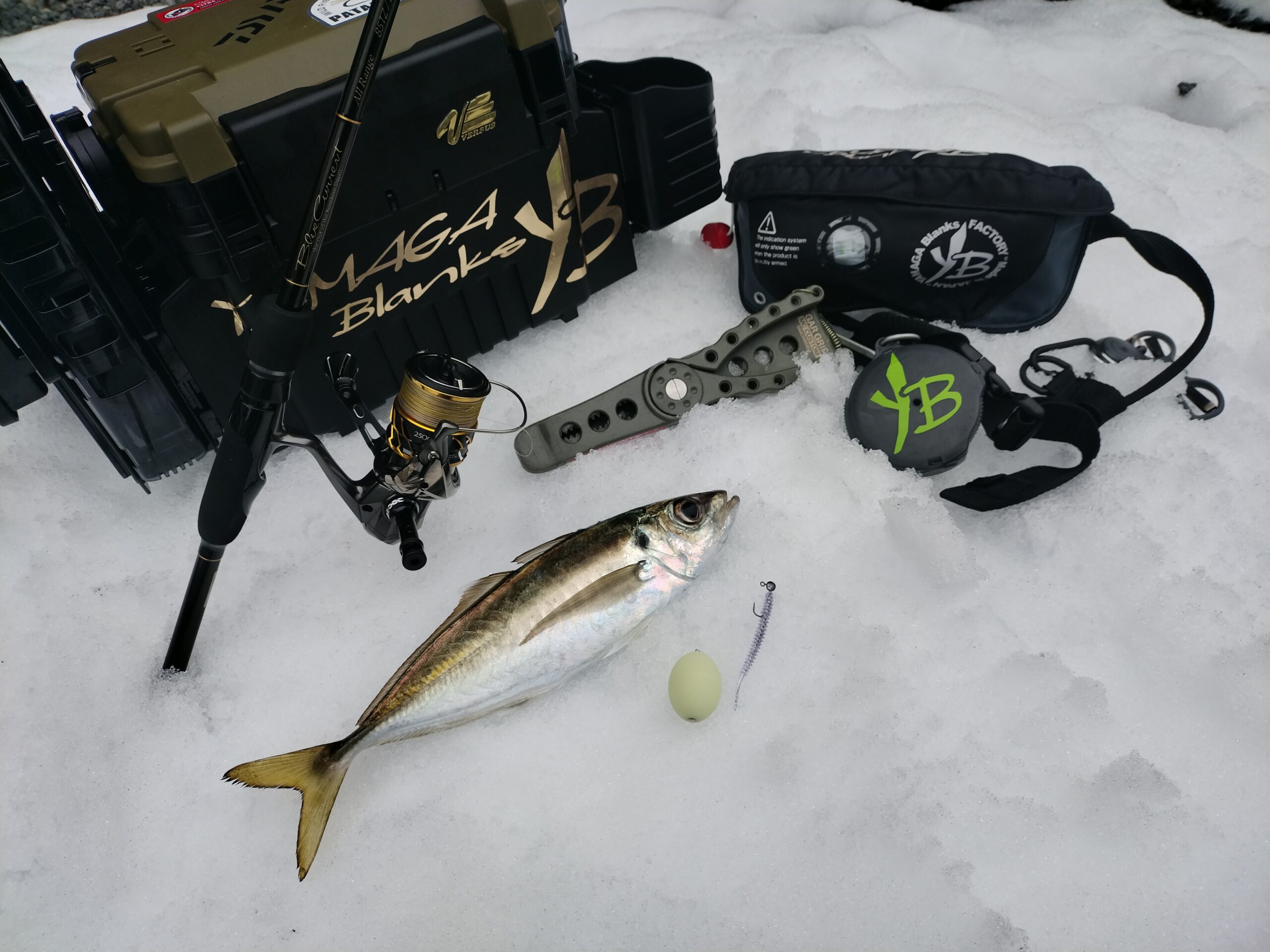 やまだ 茄子サファイア フルレート アクアンイニシエート ゲートボール