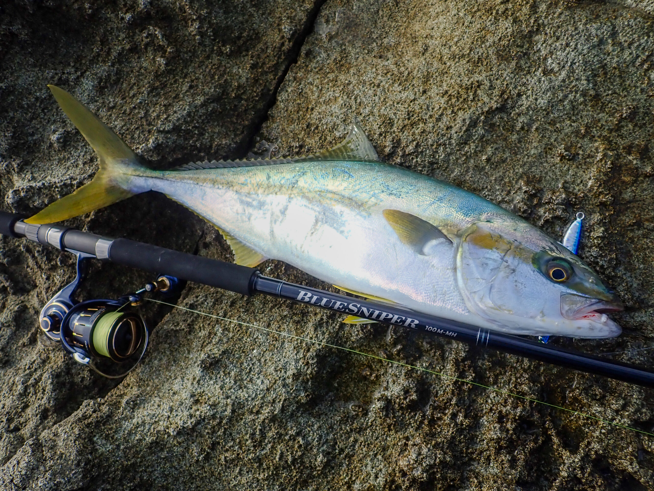 2024新製品】ハイスペック・オールラウンダーモデル『NEW BlueSniper