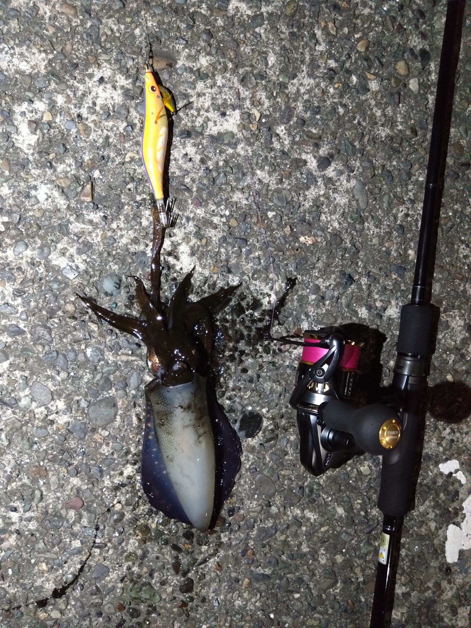 神奈川県】エギング Mebius 88L | YAMAGA BlanksYAMAGA Blanks