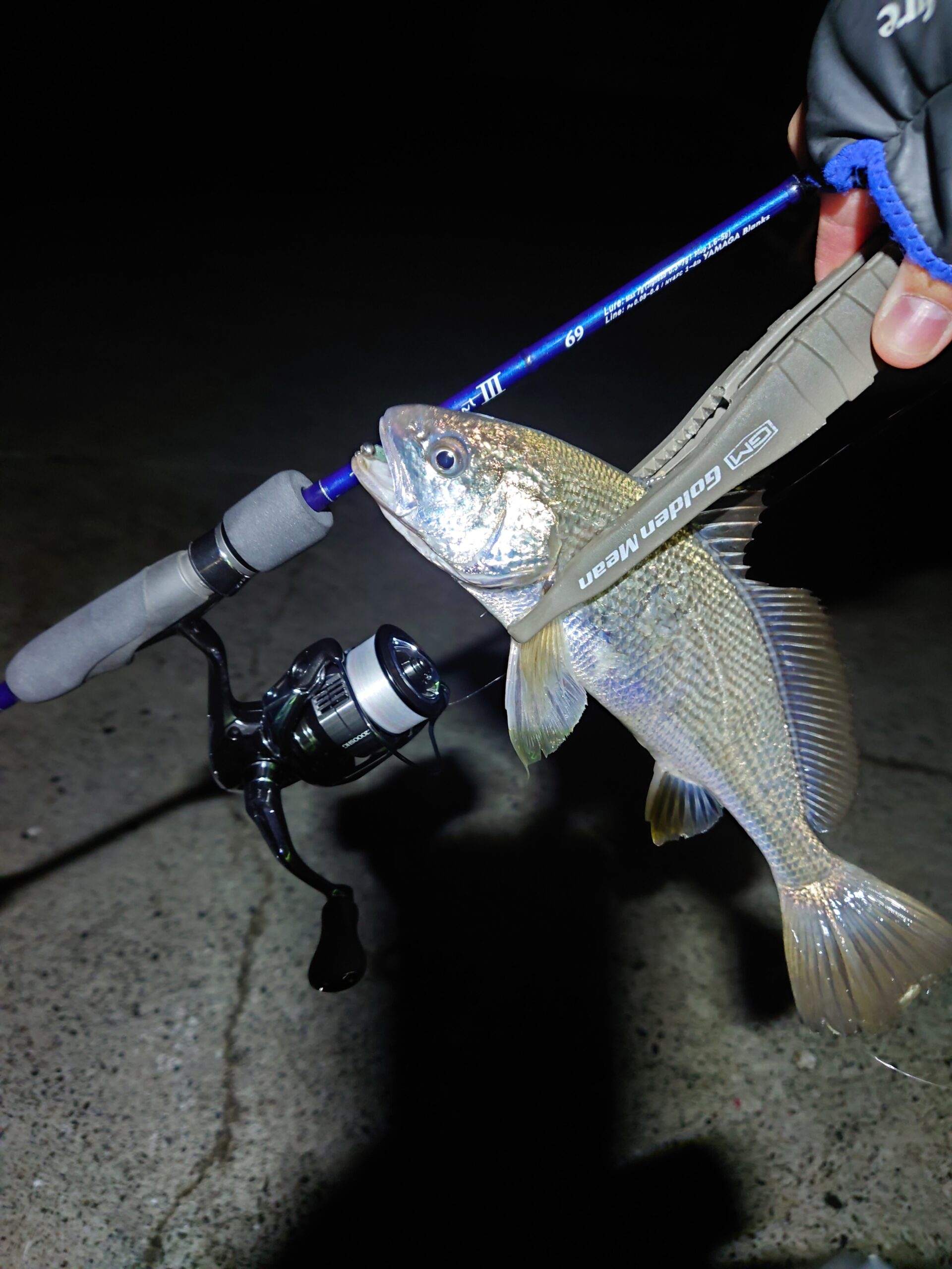 千葉県】ライトゲーム BlueCurrentⅢ53/B ・BlueCurrentⅢ69 | YAMAGA