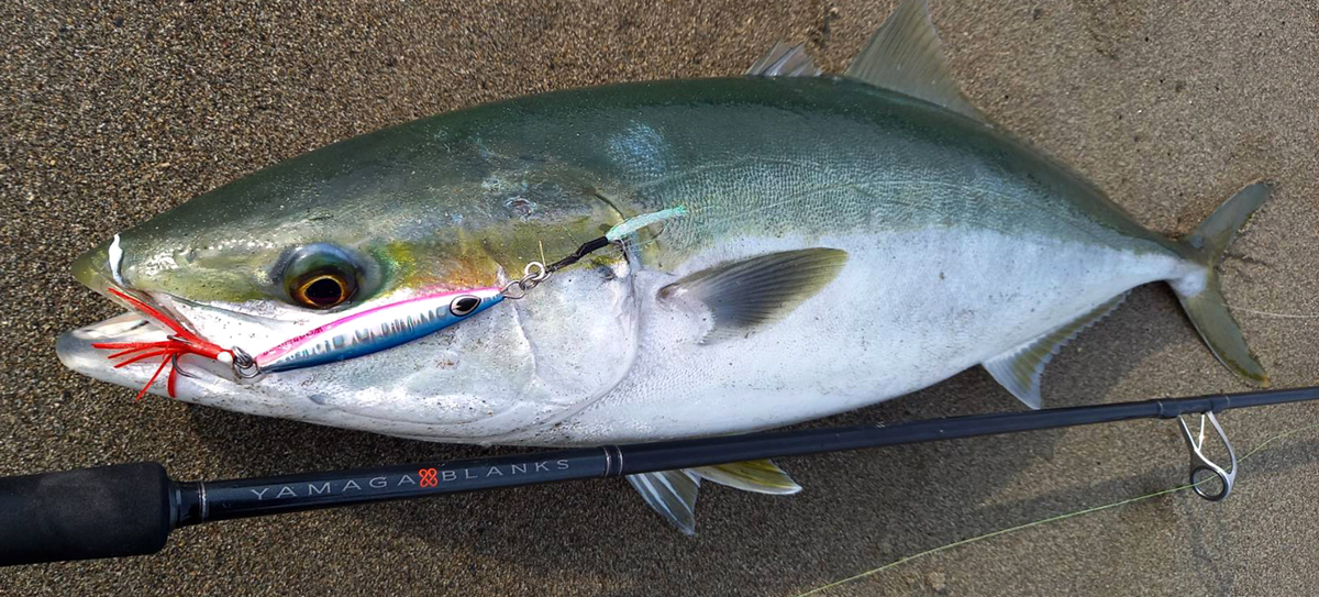 YAMAGA BLANKS 88 CHAIN 発売迫る!! 8月8日店頭販売開始!! | YAMAGA