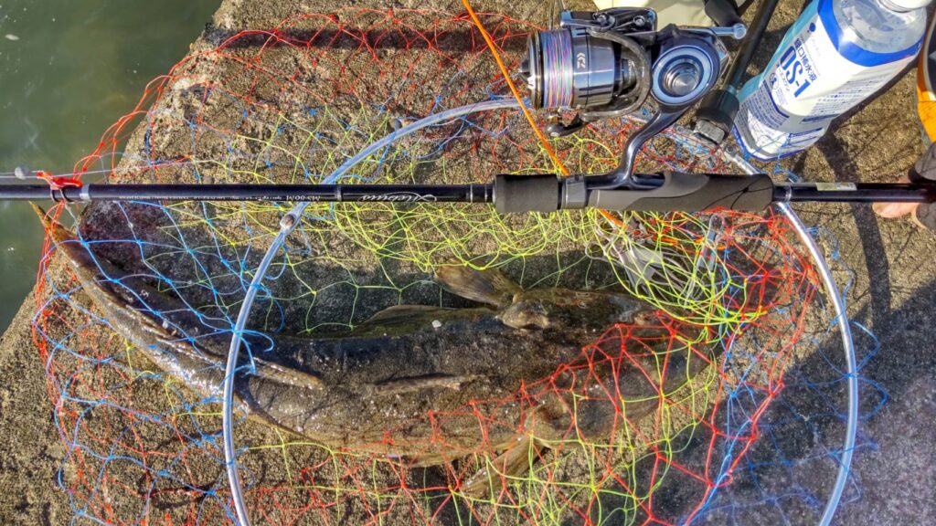 東京湾】マゴチ Mebius 86M | YAMAGA BlanksYAMAGA Blanks