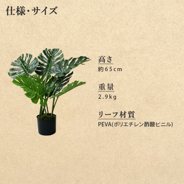 フェイクグリーン モンステラ 高さ65cm FG-MON65 | 山善ビズコム