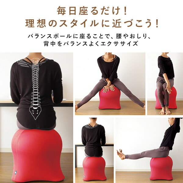 販売終了】ジェリーフィッシュチェア エクササイズDVD付き 洗える