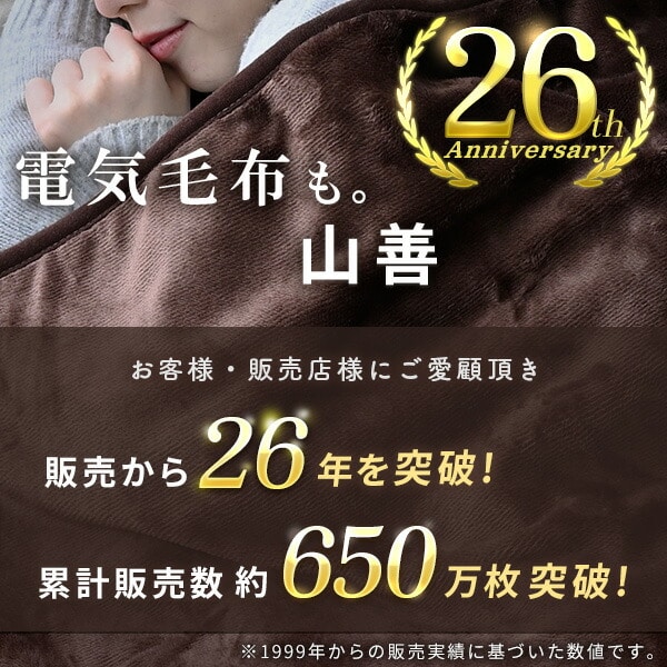 電気毛布 ミックスフランネル 選べる3サイズ ダニ対策 丸洗い可 山善