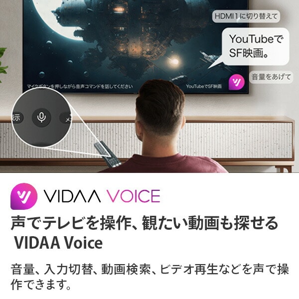 販売終了】テレビ 24V型 2K Wチューナー 24A4N Hisense | 山善ビズコム