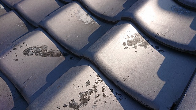 瓦の気になる「黒ずみ」「割れ」どうしたらいいの？ | 西条・新居浜市