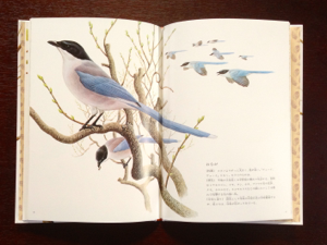 薮内正幸美術館_特集Webマガジン