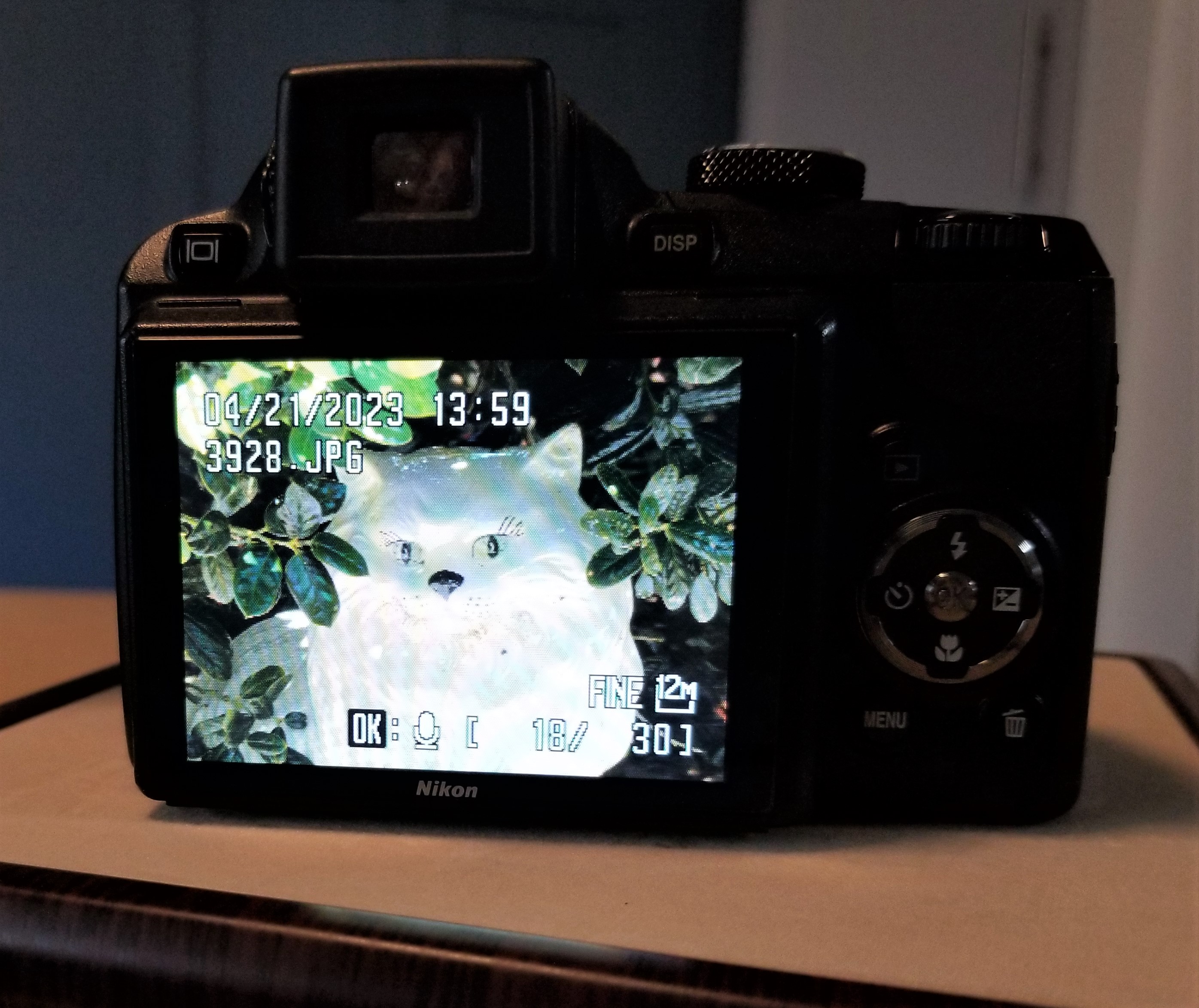 Nikon Coolpix P90 – time to pass it along | Chasing Classic