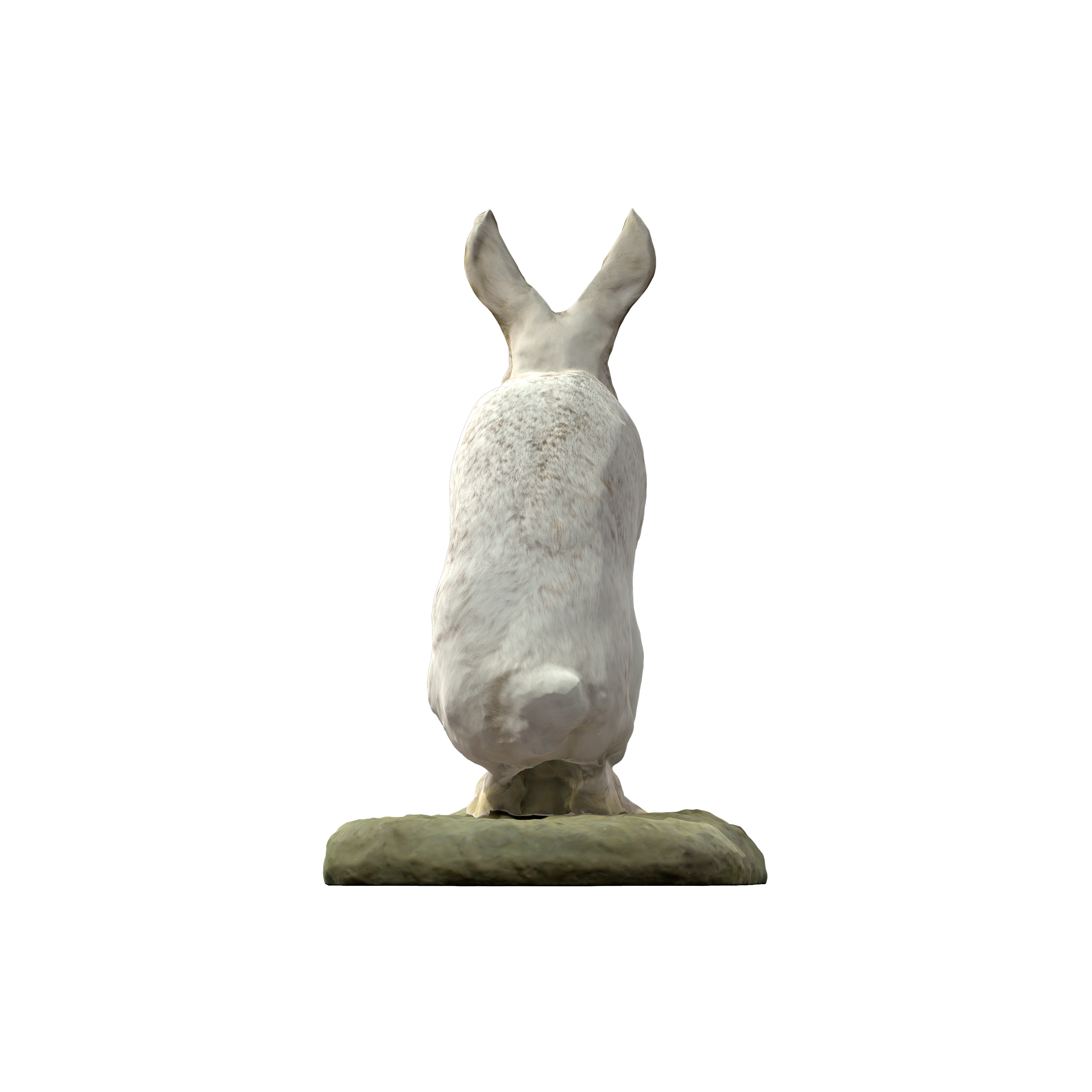 NSMTM32036 | Yoshimoto 3D