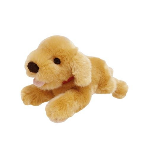 ゴールデンレトリバー SS | 雛人形（ひな人形）・五月人形の吉徳