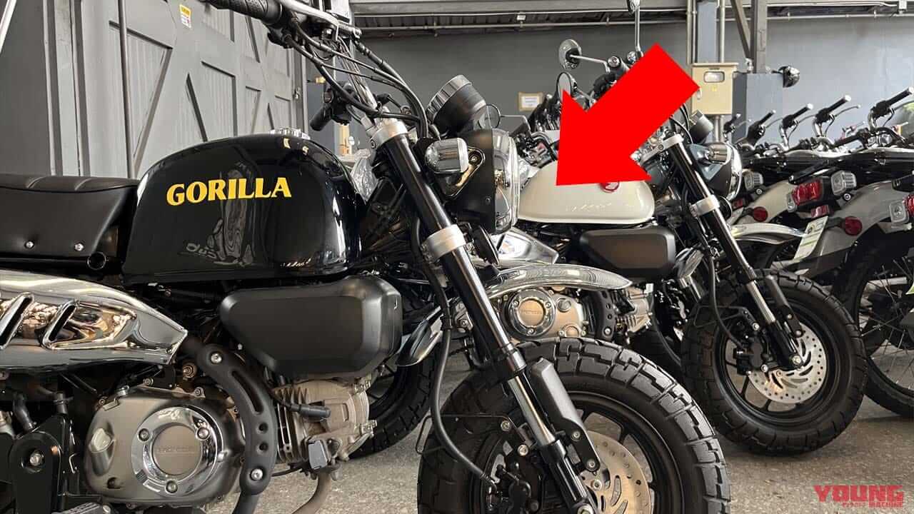 待ってたやつ!!」ホンダ新『ゴリラ125』登場…なの?! 鉄製ビッグタンク