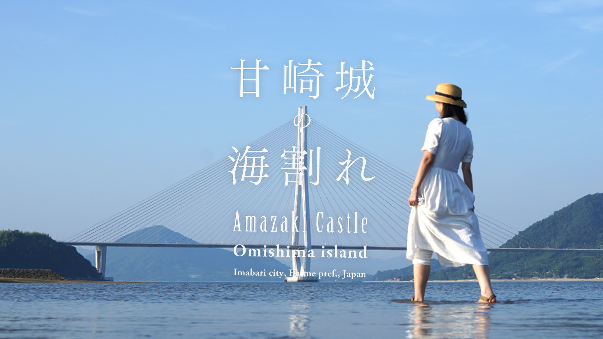 愛媛 しまなみ海道】年に数回だけ渡ることができる日本最古の水軍城