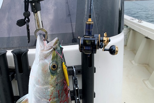 インプレ】22ソルティガLJレビュー！カヤック？遊漁船？どれを買えば