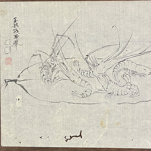 渡辺崋山 肉筆白描画「海老図」 ｜有秋小春