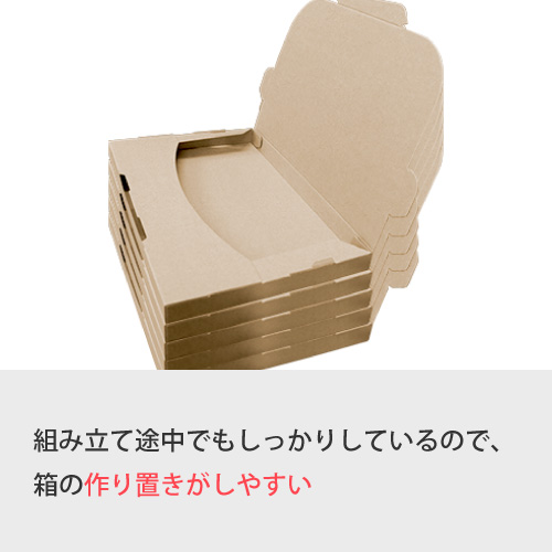 ZAP 差込み式メール便ケース ネコポス ゆうパケットA4サイズ 【厚み