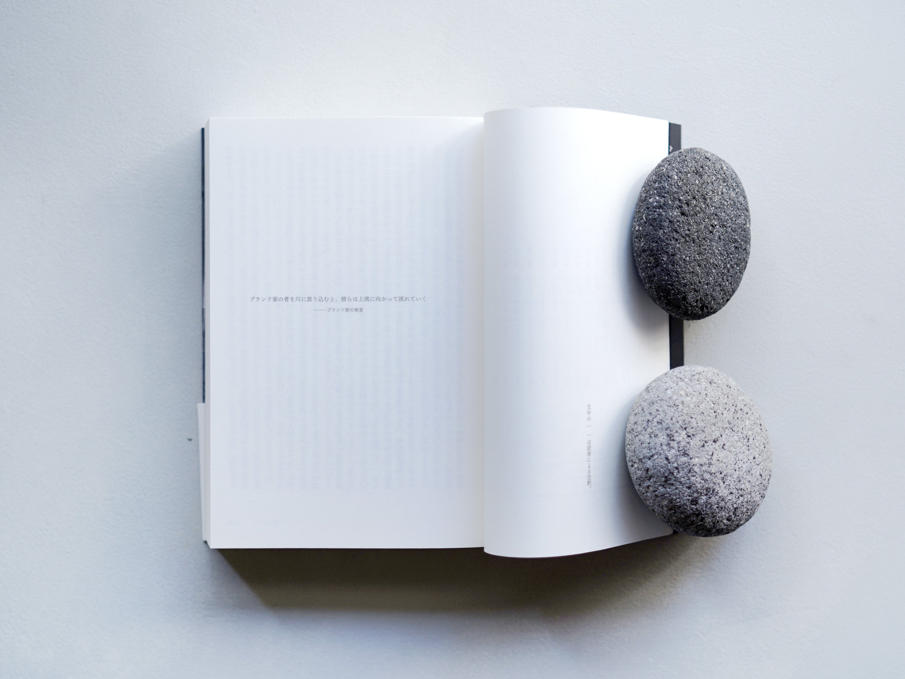 re_DSC03256_3000x.jpg?v=1706939404