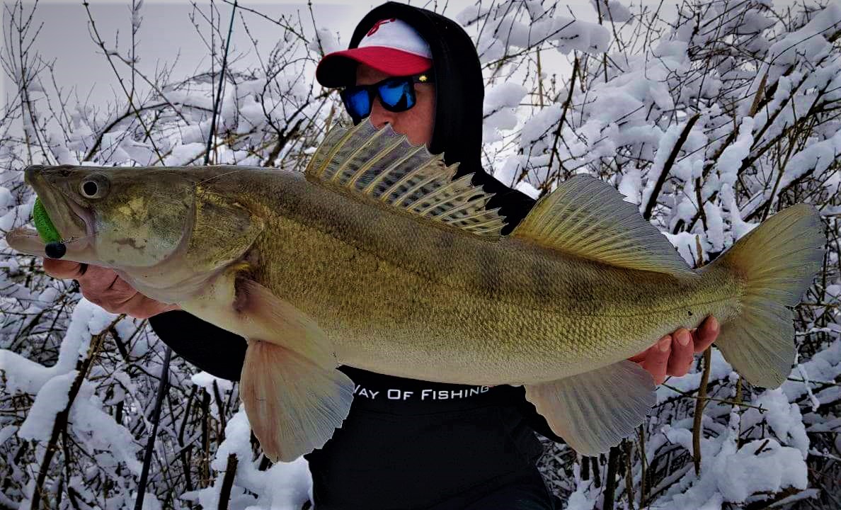 PLAISIR ANSWER - ZENAQ(ゼナック) | オフィシャルサイト