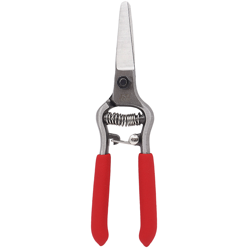 文化のインベンション R.ワグナー著 文化のインベンション R.ワグナー