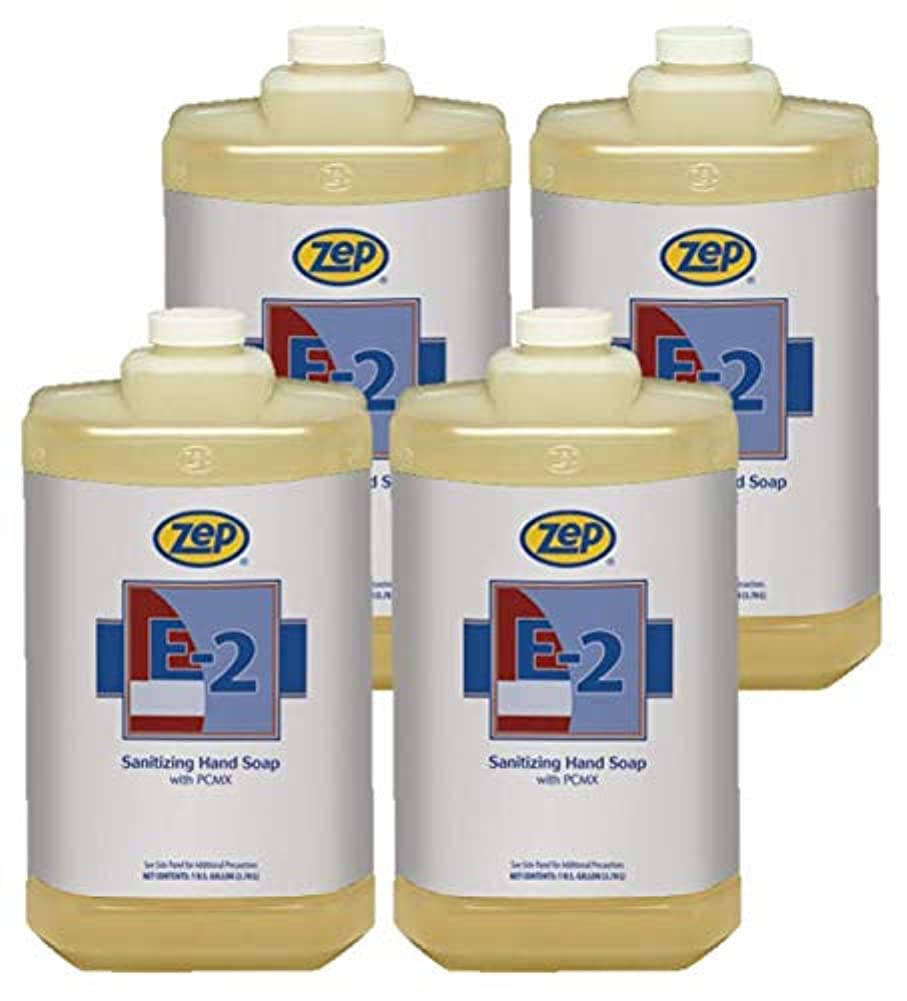 E-2 Sanitizing Hand Soap - 1 Gallon – Zep Inc.