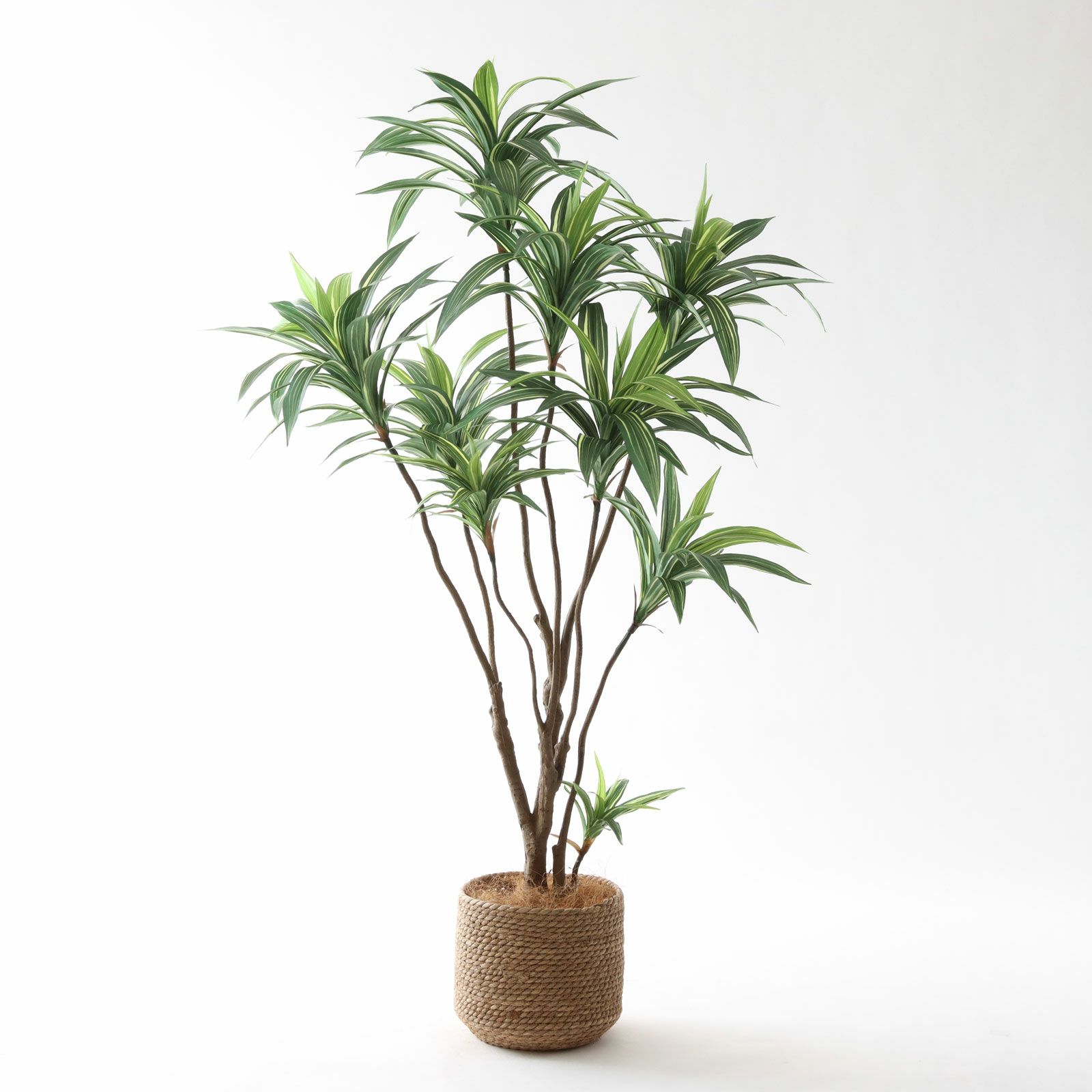 高さ120-150cm | プレミアム光触媒フェイクグリーン 造花ドットコム