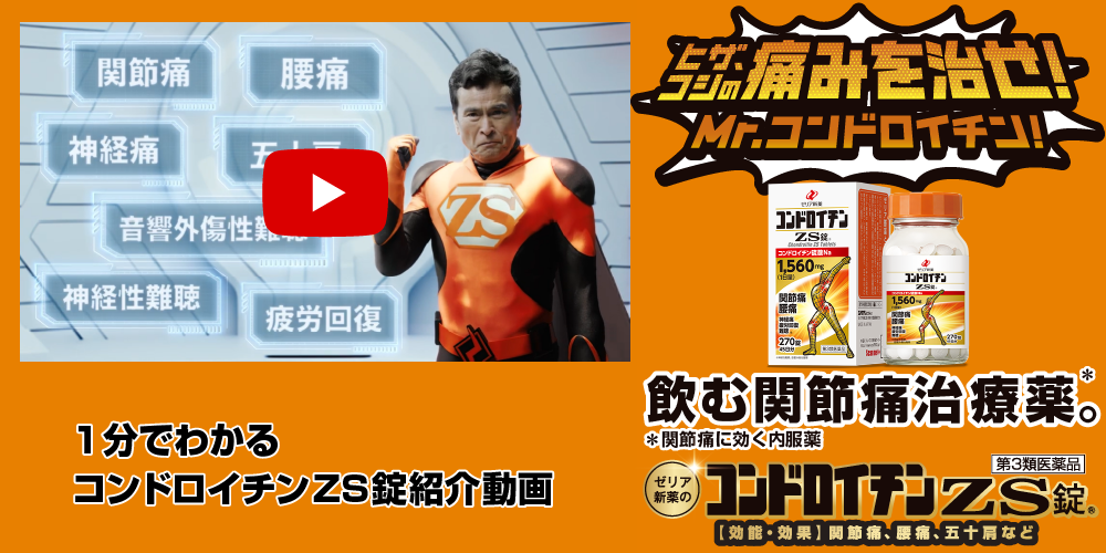 コンドロイチン不足様 リクエスト28点 コンドロイチン不足様