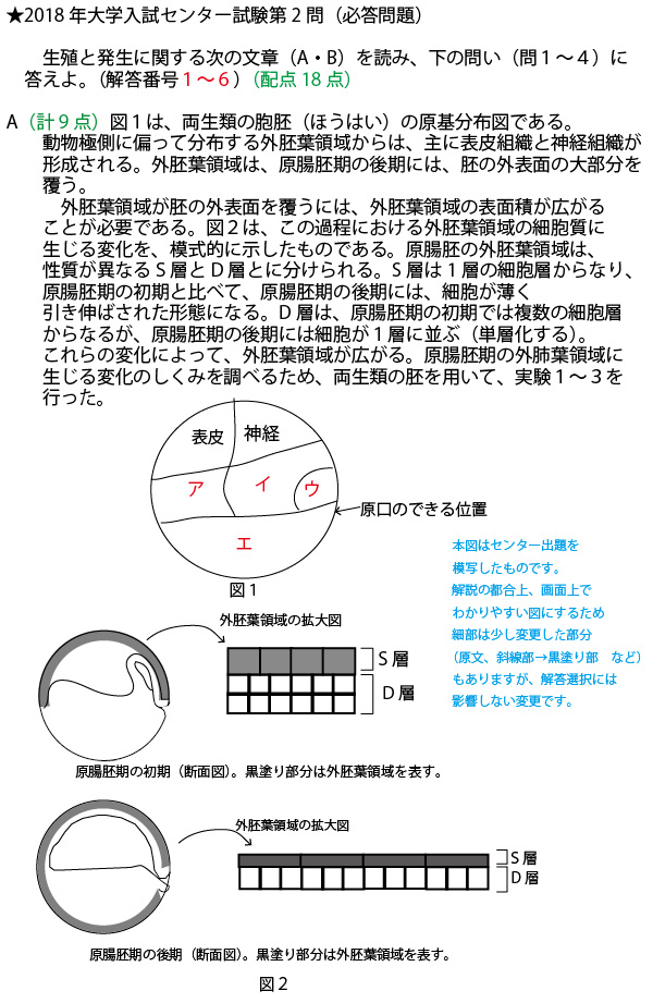 ☆2018年大学入試センター「生物」第2問（生殖と発生）問題・解答