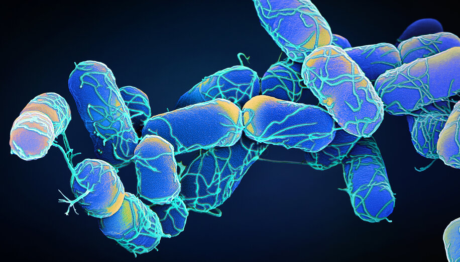 Case study: culture-free, strain-level characterisation of