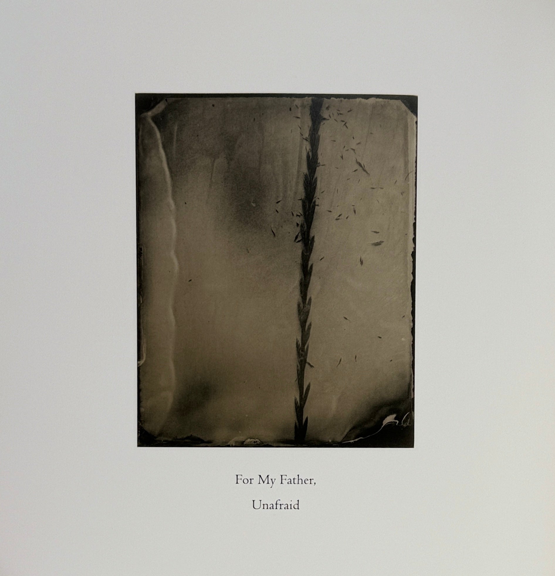 Sally Mann: What Remains | Sally Mann | First edition