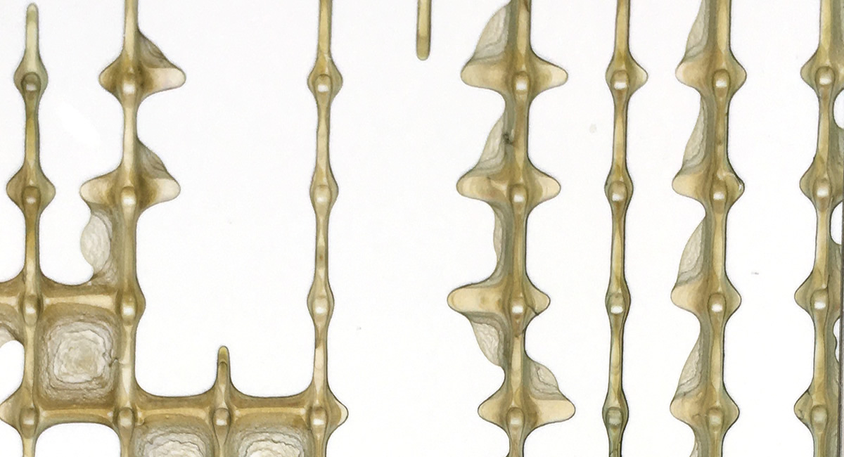 名和晃平―シンセシス展覧会公式カタログ/オリジナルドローイング付