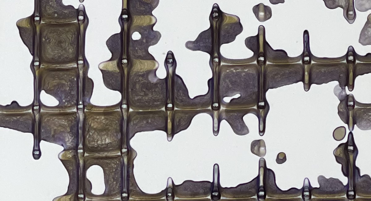 名和晃平―シンセシス展覧会公式カタログ/オリジナルドローイング付