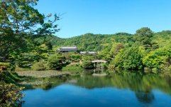 造園技術を軸に樹木診断や施工事業を展開し 若手への技術の伝承で海外