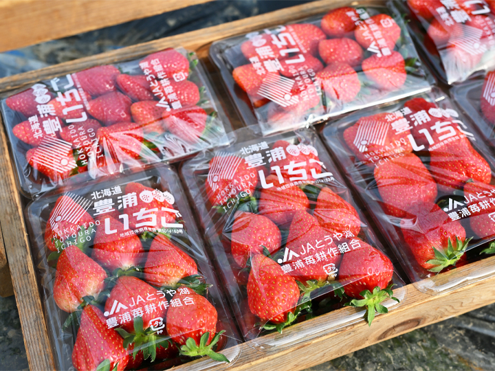 北海道のブランドいちごを守る新婚夫婦。未経験で挑戦するいちご農家