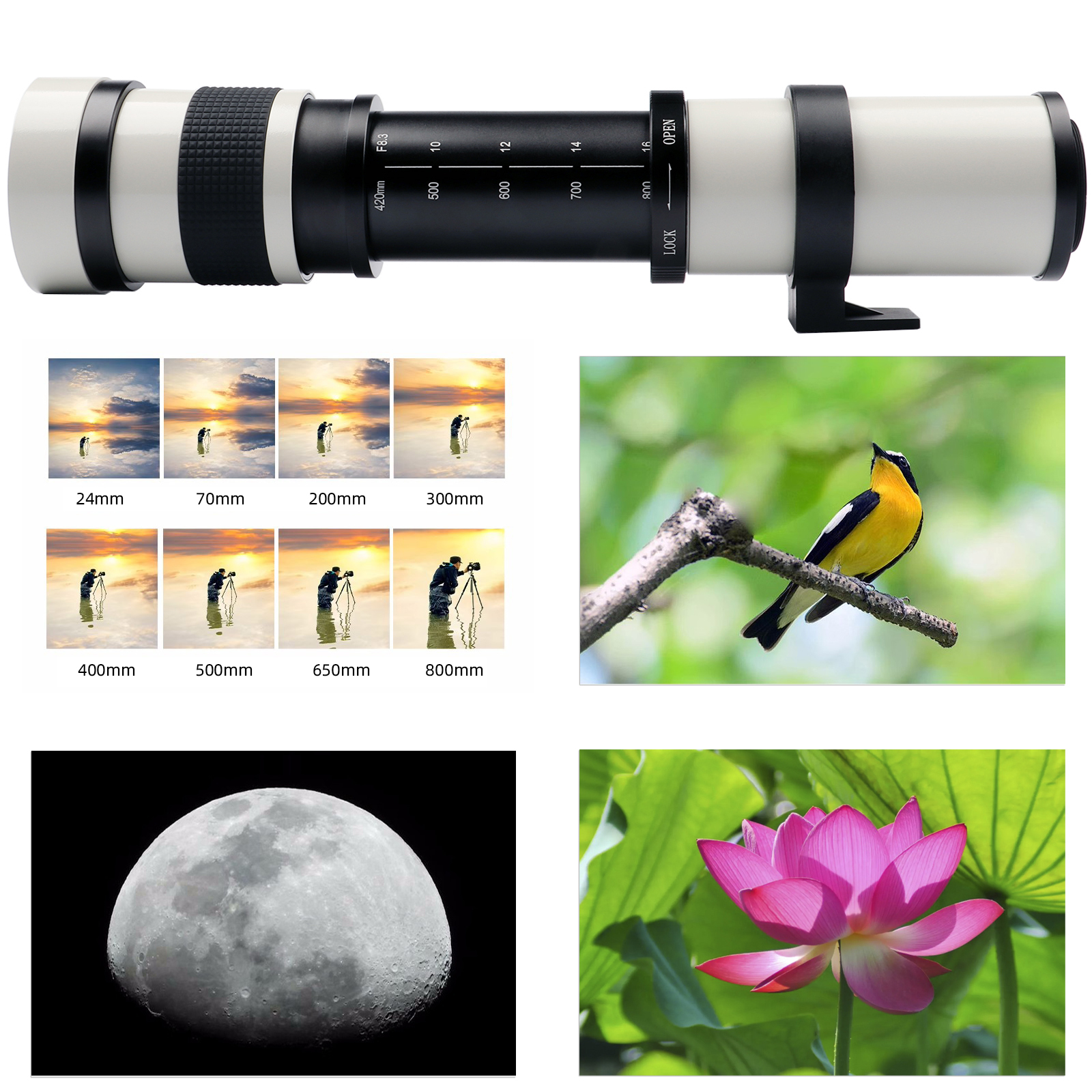 Lightdow 超望遠マニュアルズームレンズ 420-800mm F8.3-16 T2 リング