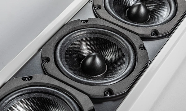 Intellivox DS115D | JBL Professional Loudspeakers | English (US)