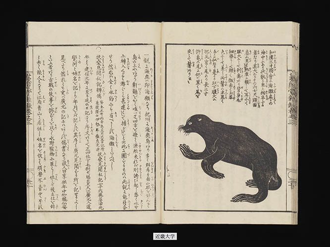 博物学へのいざない￤近畿大学／貴重資料デジタルアーカイブ