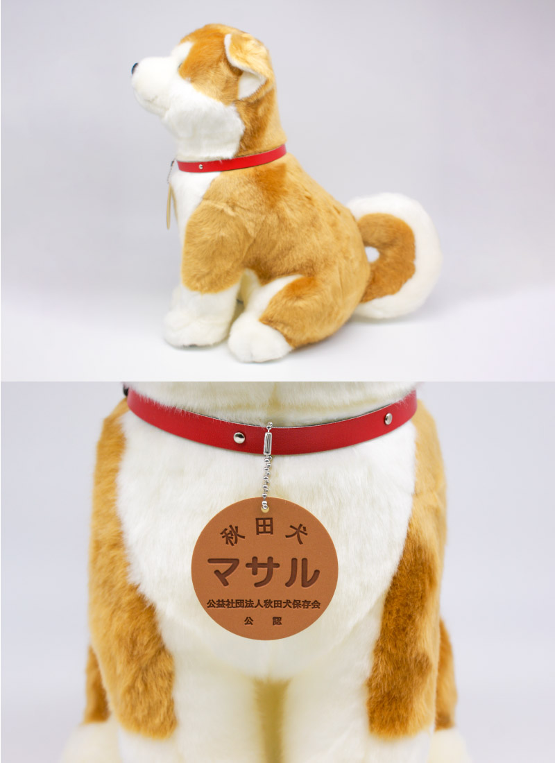 秋田犬マサルL(赤毛)/白毛L(ピンク鼻・黒鼻)/虎毛L | ハチふる SHIBUYA