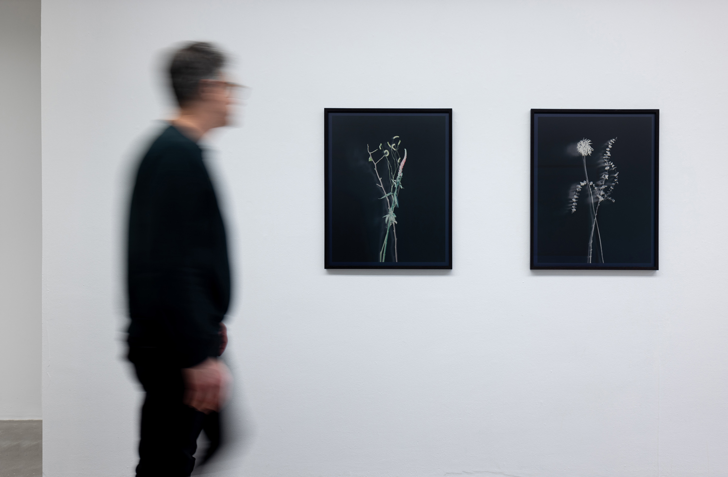 Axel Hütte | AKINCI - AKINCI Gallery